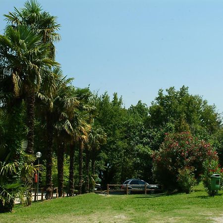 Camping Zocco مانربا ديل جاردا المظهر الخارجي الصورة