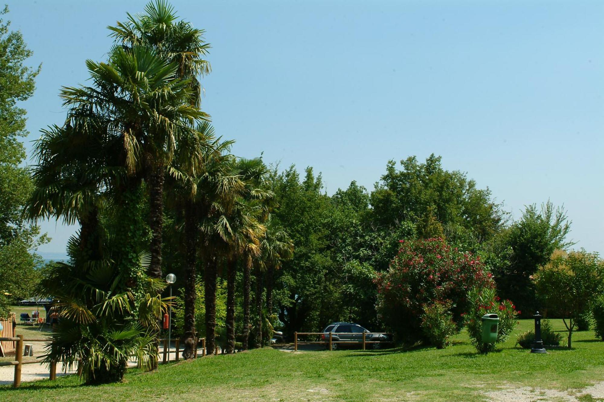 Camping Zocco مانربا ديل جاردا المظهر الخارجي الصورة