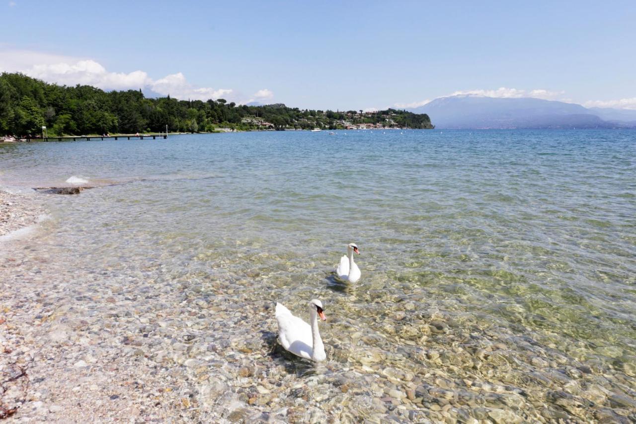 Camping Zocco مانربا ديل جاردا المظهر الخارجي الصورة